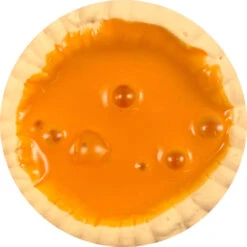 Pumpkin Pie DIY 10 Pumpkin Pie DIY -Dope Slimes image 0a7d0a20 3df8 4d2f b88f e0748a0b5140