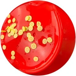 Watermelon Lemonade 9 Watermelon Lemonade -Dope Slimes image 4c1431e5 de7a 4671 a90f 6a45f70773c1