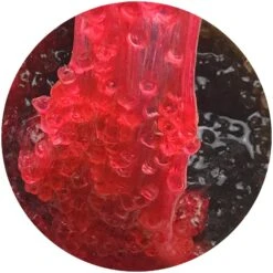 Cherry Cola -Dope Slimes image 4c8eb970 215e 4b67 a646 09e995bbb105