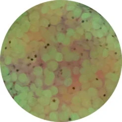 Nebula - GLOW IN THE DARK! 9 Nebula - GLOW IN THE DARK! -Dope Slimes imagejpg b8ffab7a b1f4 43eb b34d c99f6489f0b2